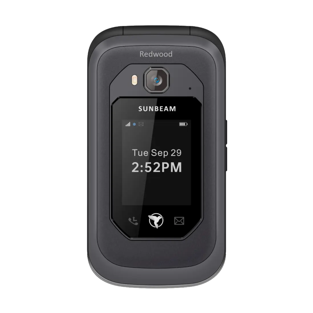 Sunbeam F1 Pro
